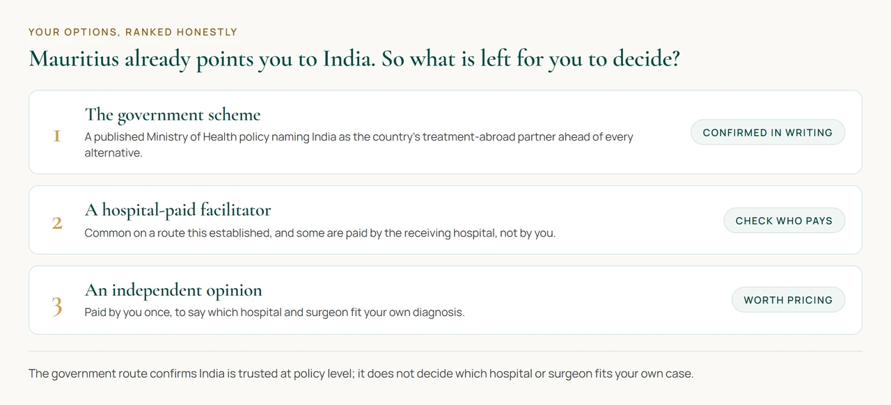 A diagram showing three ranked options for a patient in Mauritius: the government referral scheme, a hospital-paid facilitator, and an independent specialist opinion, each with a short verdict pill.